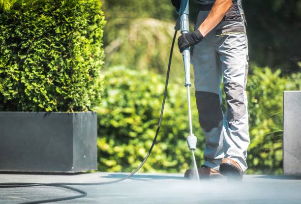 Best Roof Washing  in Pea Ridge, FL