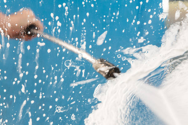 Best Dumpster Area Cleaning  in Pea Ridge, FL